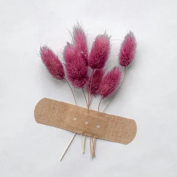 Adhesive Bandage Strips