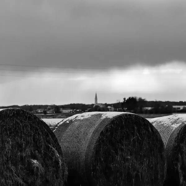 Dry Fodder