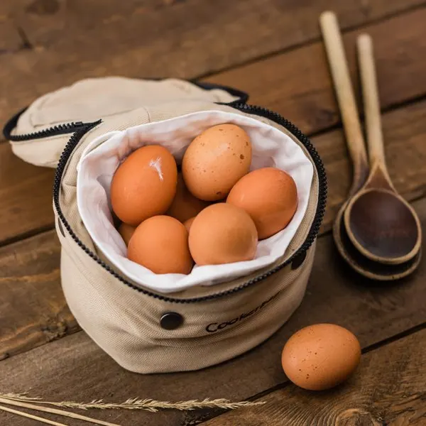 Egg Incubator