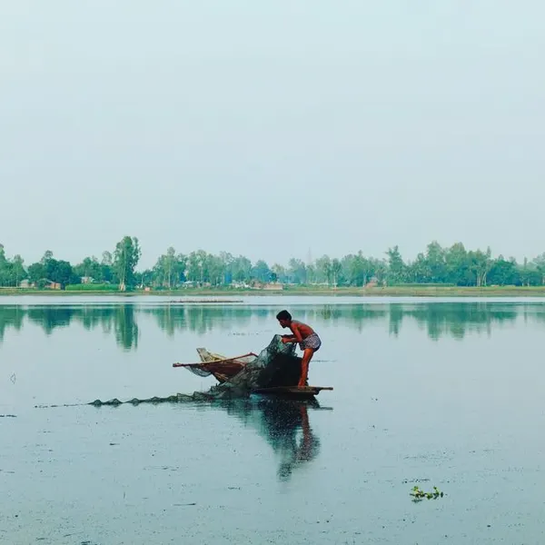 Hilsa