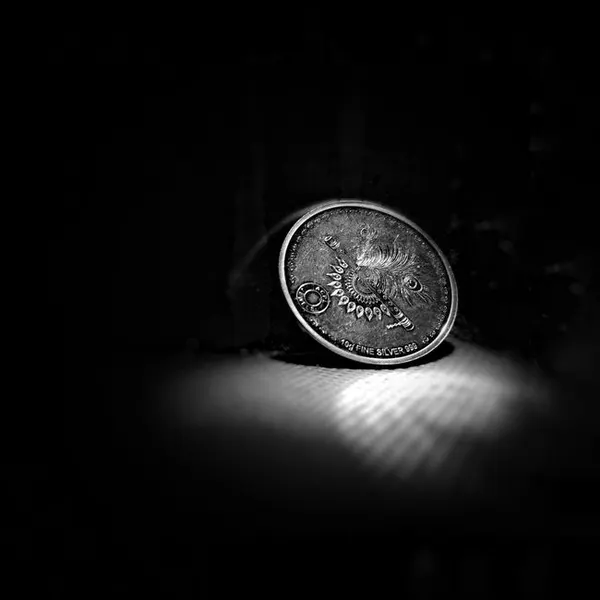 Silver Coin 10 g