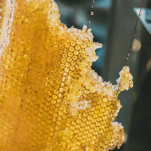 Sugar-Free Sweetener
